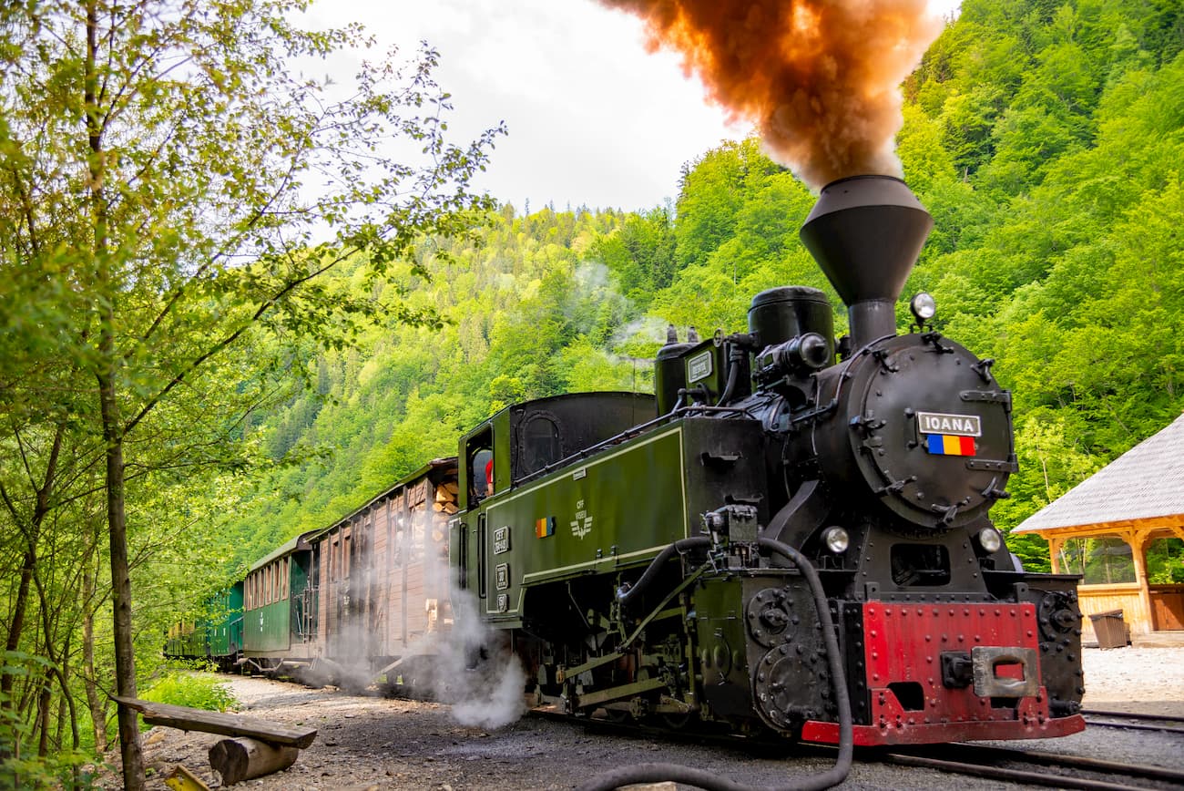 Vaser Valley. Maramures Natural Park